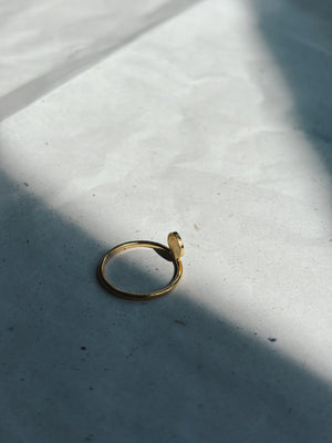 SS24 - DOT ring (Zilver of Verguld)
